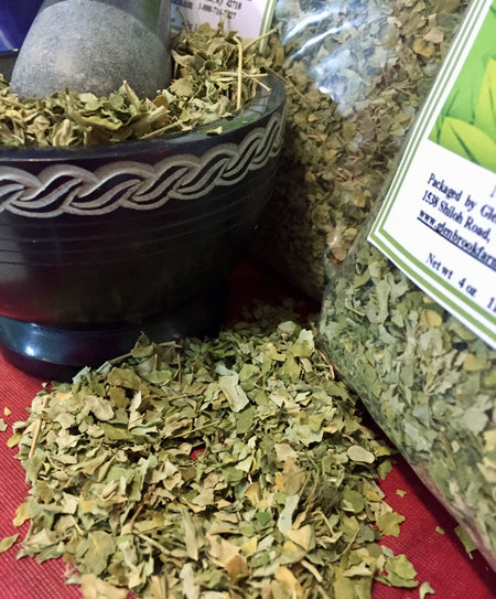 Moringa leaf cut