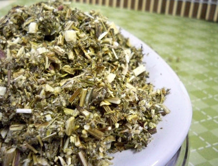 Mugwort c/s from Glenbrook Farms Herbs