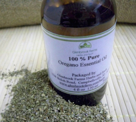 Oregano Essential Oil from glenbrookfarm.com