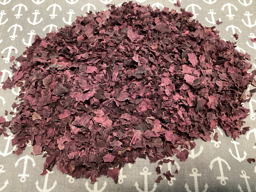 dry red seaweed on a gray and white bakground